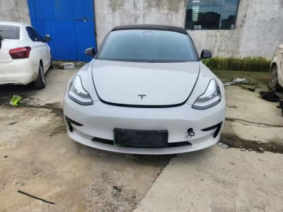 沈阳市20年特斯拉MODEL 3中型车