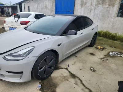 沈阳市20年特斯拉MODEL 3中型车2