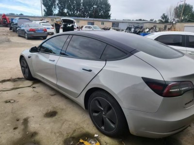 沈阳市20年特斯拉MODEL 3中型车5