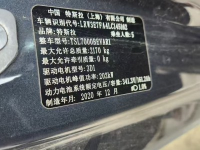 沈阳市20年特斯拉MODEL 3中型车9