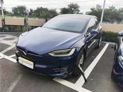 广州市18年特斯拉MODEL X中型车2