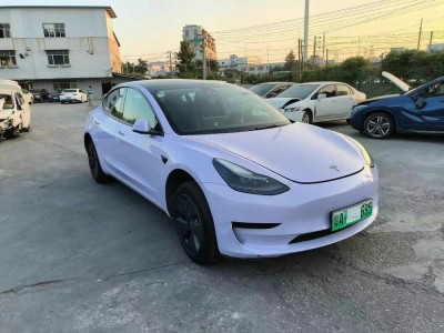 广州市23年特斯拉MODEL 3中型车