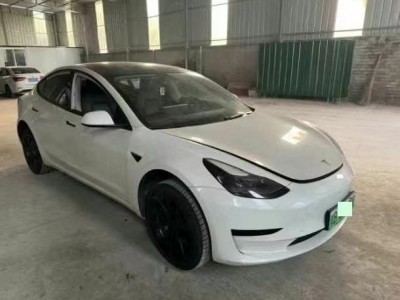 成都市22年特斯拉MODEL 3中型车