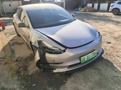 沈阳市23年特斯拉MODEL 3中型车