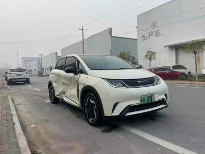 荷泽市22年比亚迪海豚中型车