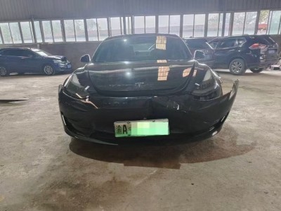 重庆21年特斯拉MODEL 3中型车