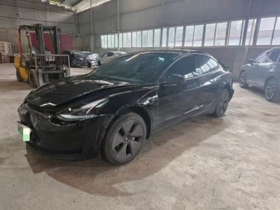 重庆21年特斯拉MODEL 3中型车2