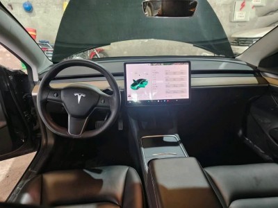 重庆21年特斯拉MODEL 3中型车7