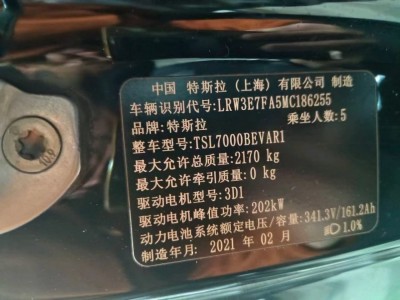 重庆21年特斯拉MODEL 3中型车9