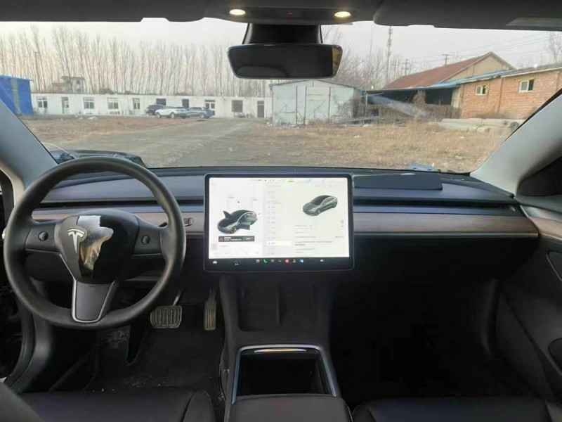 聊城市21年特斯拉MODEL 3中型车8