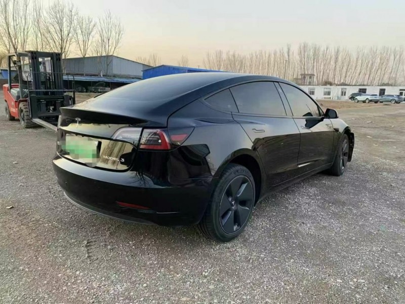 聊城市21年特斯拉MODEL 3中型车6