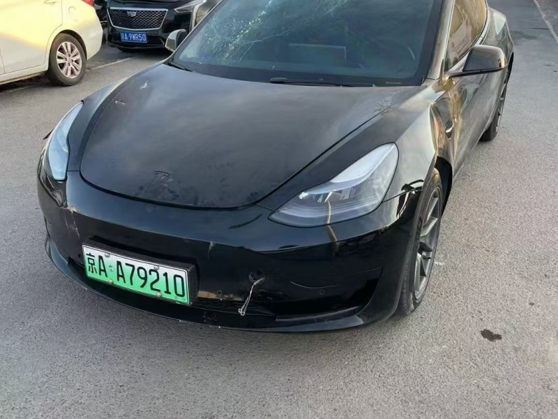 北京21年特斯拉MODEL 3中型车3