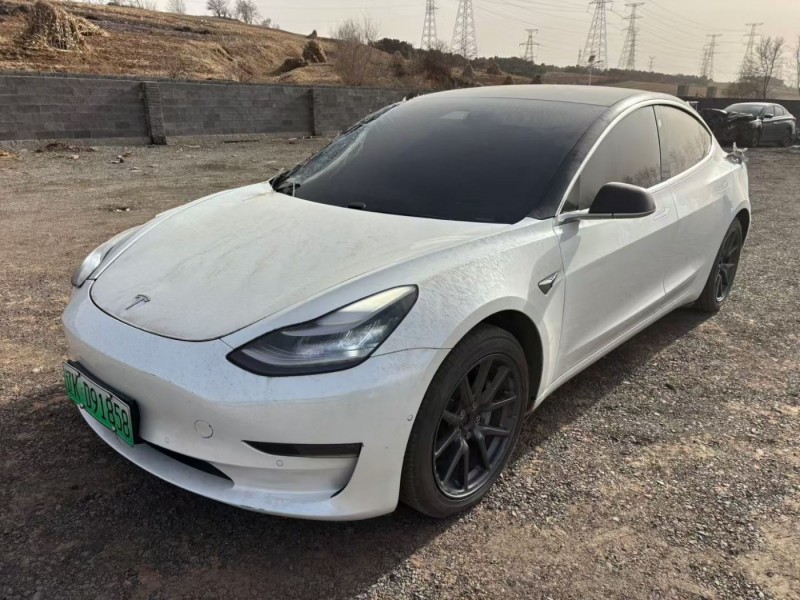 沈阳市19年特斯拉MODEL 3中型车2