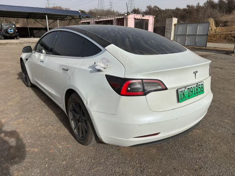 沈阳市19年特斯拉MODEL 3中型车4