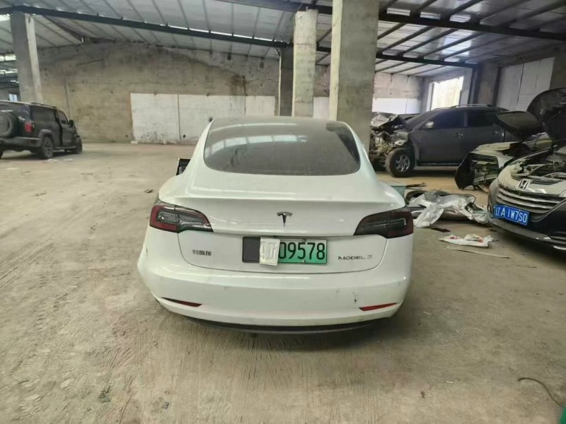 沈阳市20年特斯拉MODEL 3中型车5